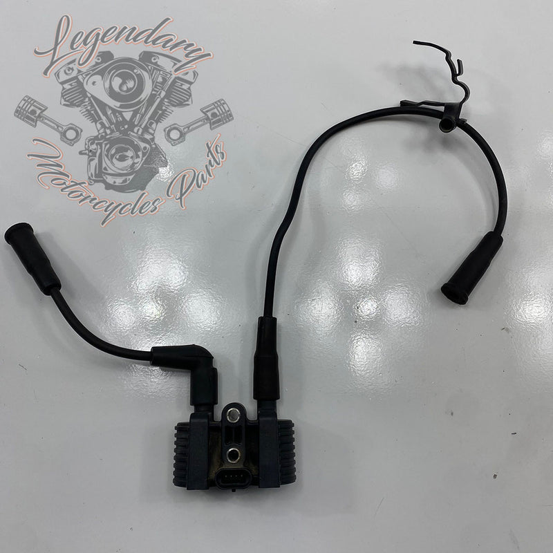 Zündspule und Zündkerzenkabel OEM 31656-07