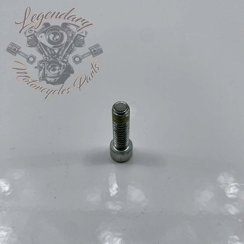 Parafuso 1/4-20 X 7/8 OEM 884A