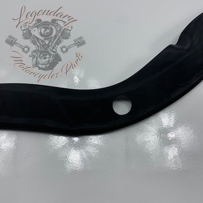 Windscreen Trim OEM 57660-09