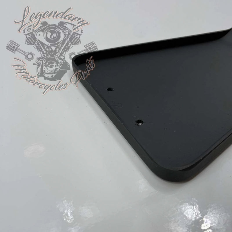 Caché lateral derecho OEM 58712-79