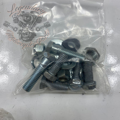 Highway Footpeg Kit OEM 49170-85T