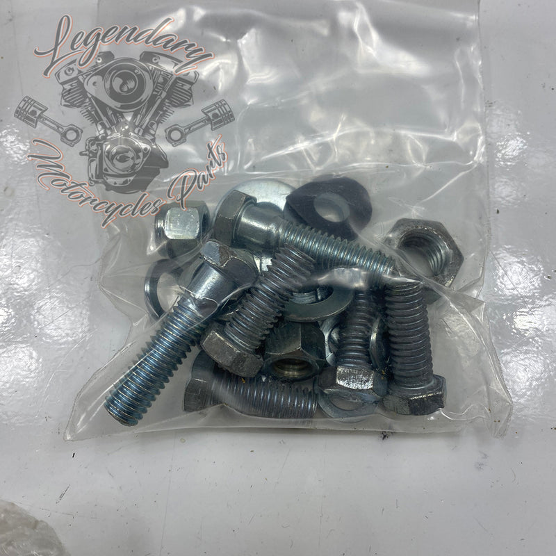 Kit pedane autostrada OEM 49170-85T