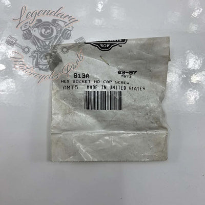 Śruba 1/4-20 X 1-3/4 OEM 813A
