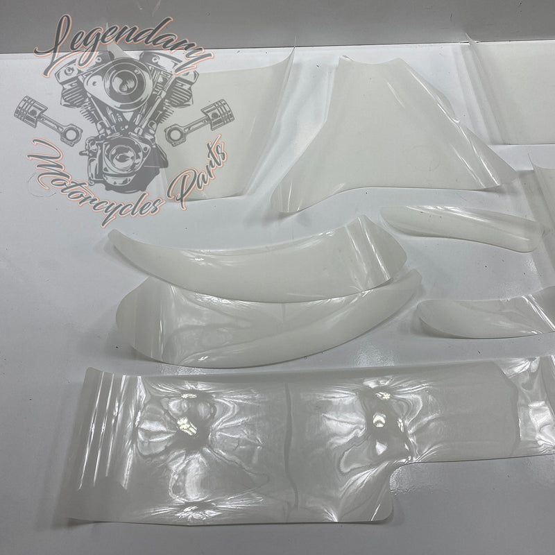 Kit de calcomanías de protección de pintura OEM 11100125