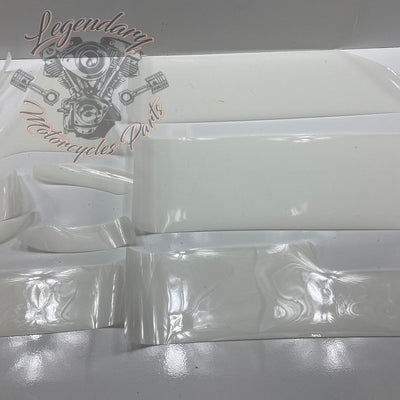 Kit de calcomanías de protección de pintura OEM 11100125