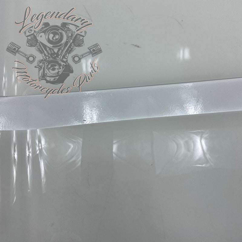 Paint Protection Sticker Kit OEM 11100125