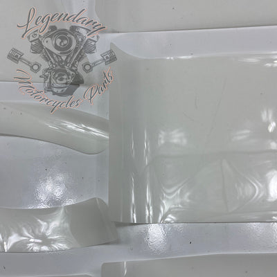 Kit de calcomanías de protección de pintura OEM 11100125