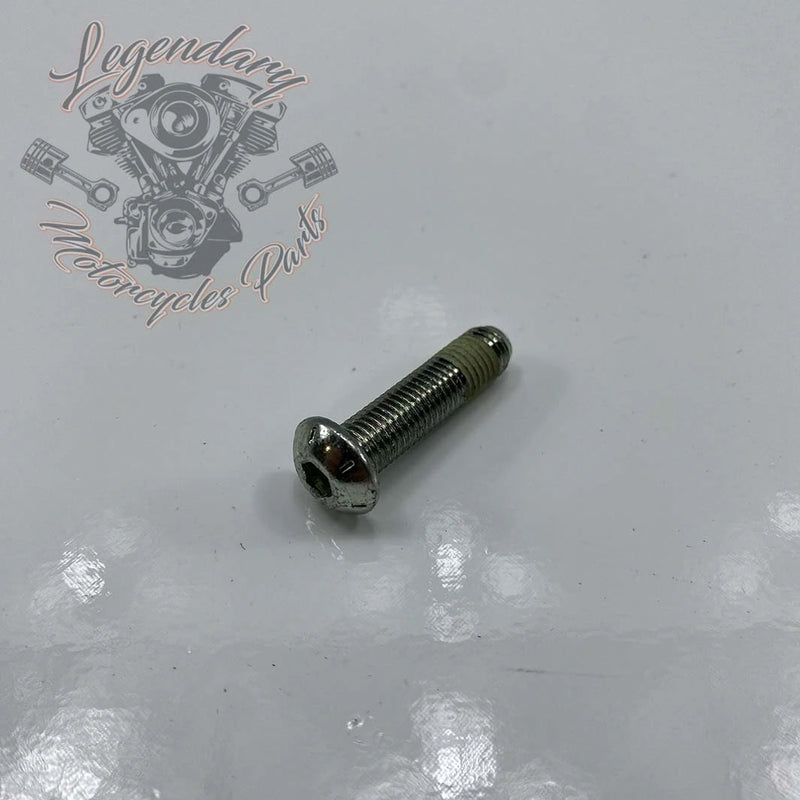 Parafuso 5/16-24 X 1-1/4 OEM 3589