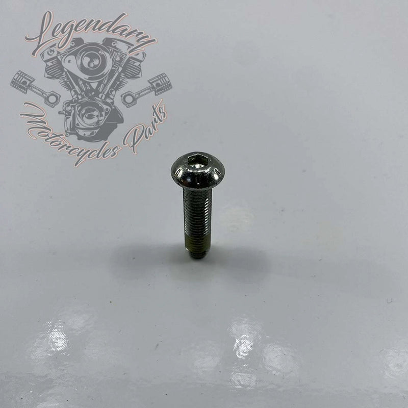 Parafuso 5/16-24 X 1-1/4 OEM 3589