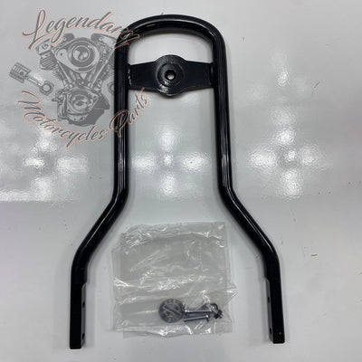 Cantidad de sissy bar OEM 52300020