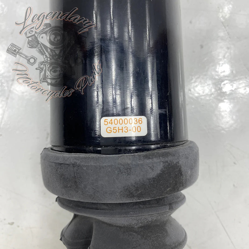 Shock Absorber OEM 54000036