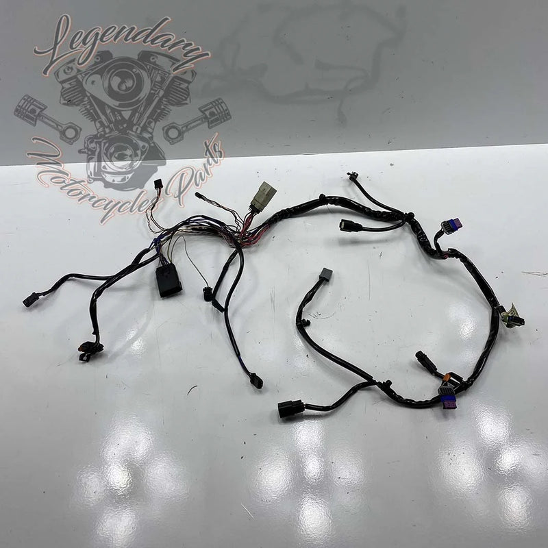 Fairing Interior Wiring Harness OEM 69200121