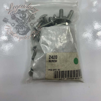 Wizjer OEM 2420