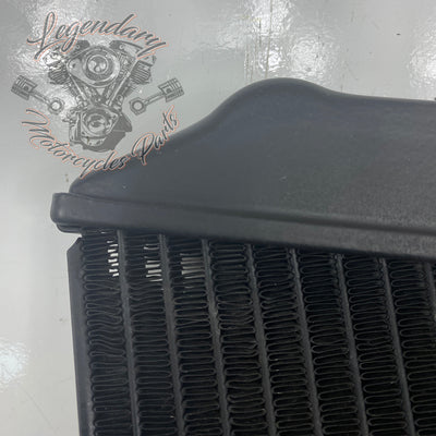 Left Radiator OEM Q0022.1AMA