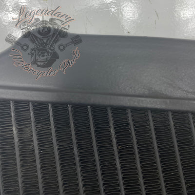 Left Radiator OEM Q0022.1AMA