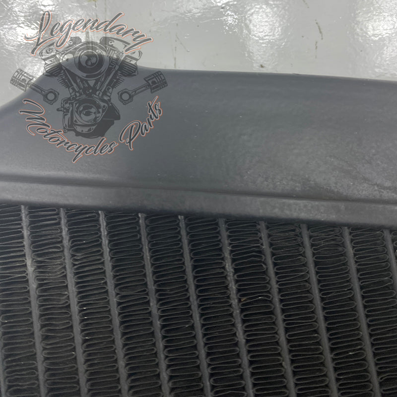 Left Radiator OEM Q0022.1AMA