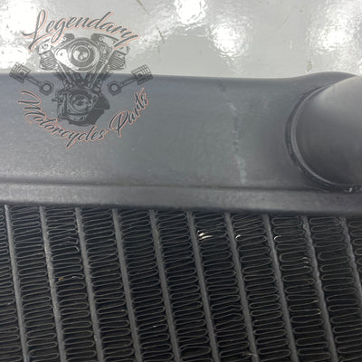 Left Radiator OEM Q0022.1AMA