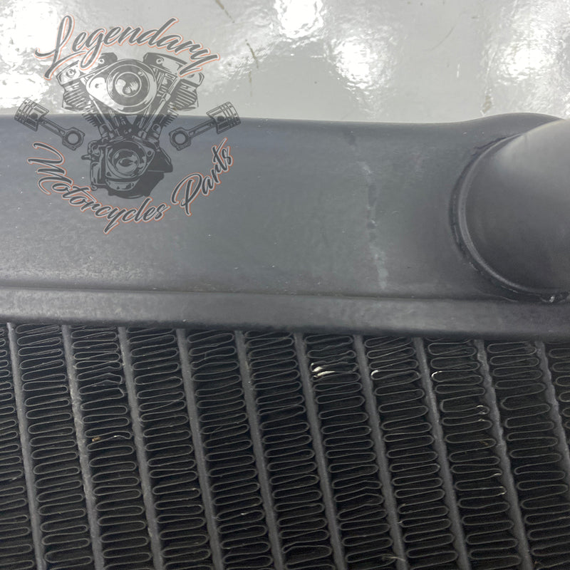 Left Radiator OEM Q0022.1AMA