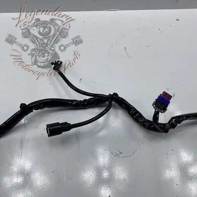 Fairing Interior Wiring Harness OEM 69200121