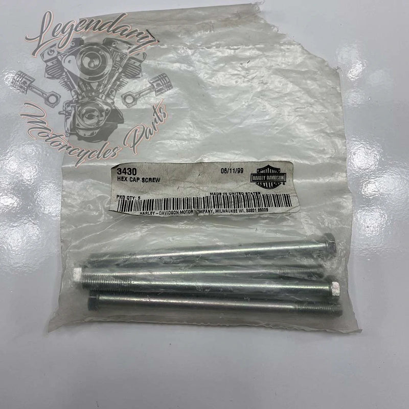 Vite del carter motore 5/16-24 x 5 OEM 3430