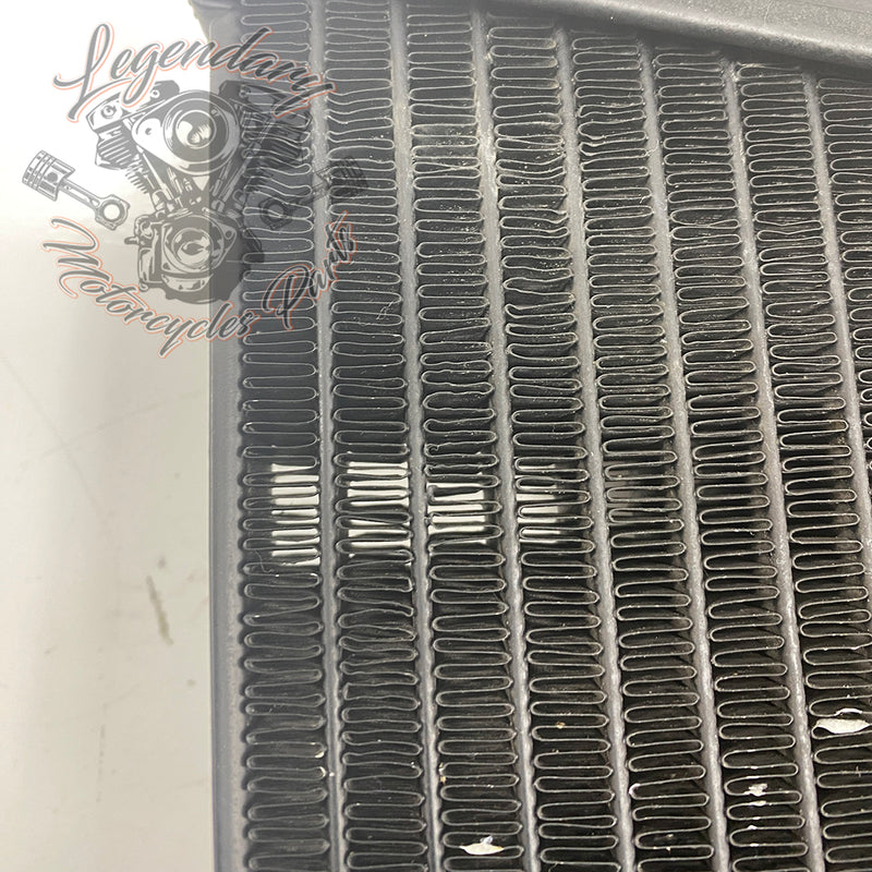 Left Radiator OEM Q0022.1AMA