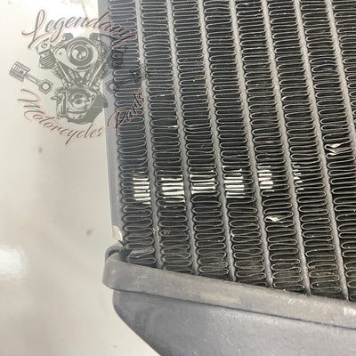 Left Radiator OEM Q0022.1AMA