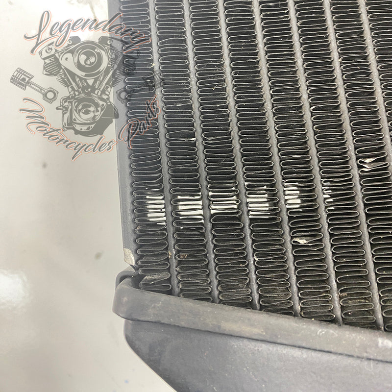 Left Radiator OEM Q0022.1AMA