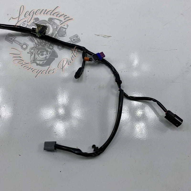 Fairing Interior Wiring Harness OEM 69200121