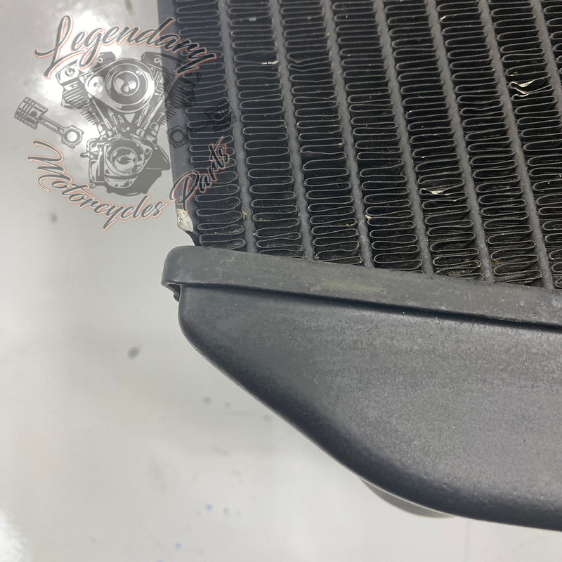 Left Radiator OEM Q0022.1AMA