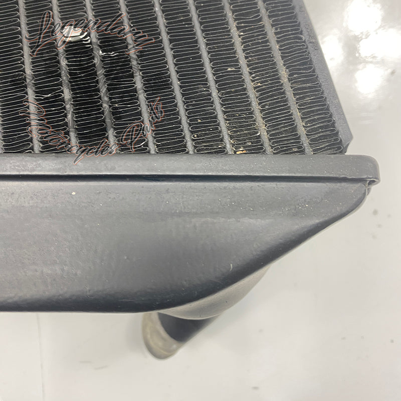 Left Radiator OEM Q0022.1AMA