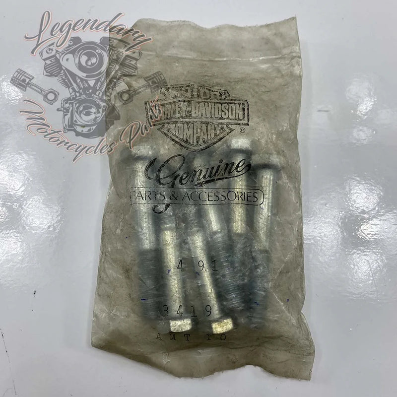 Tornillo 5/16-18 X 2-1/4 OEM 3419