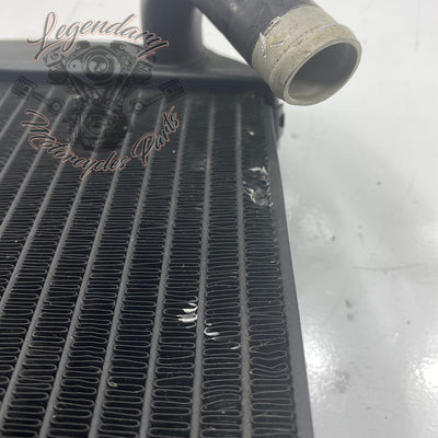 Left Radiator OEM Q0022.1AMA