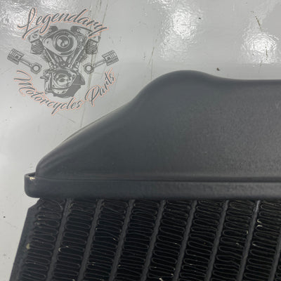 Left Radiator OEM Q0022.1AMA