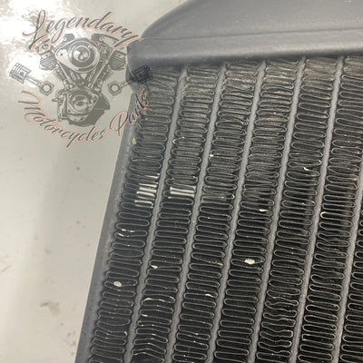 Left Radiator OEM Q0022.1AMA