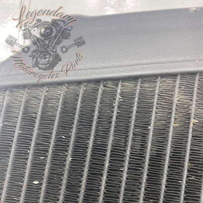 Left Radiator OEM Q0022.1AMA