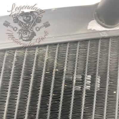 Left Radiator OEM Q0022.1AMA