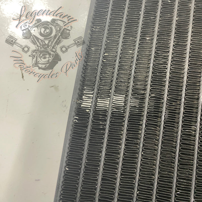 Left Radiator OEM Q0022.1AMA