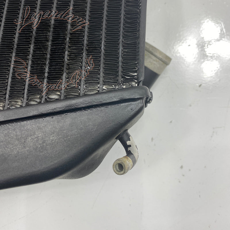 Left Radiator OEM Q0022.1AMA