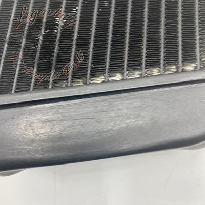 Left Radiator OEM Q0022.1AMA