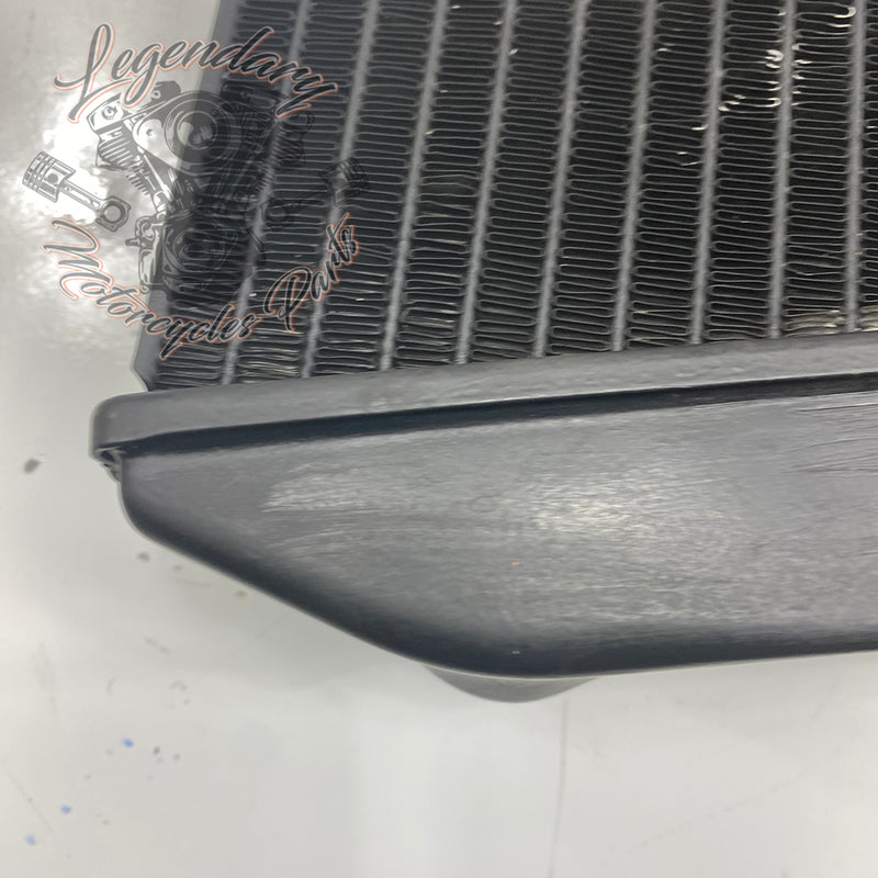 Left Radiator OEM Q0022.1AMA