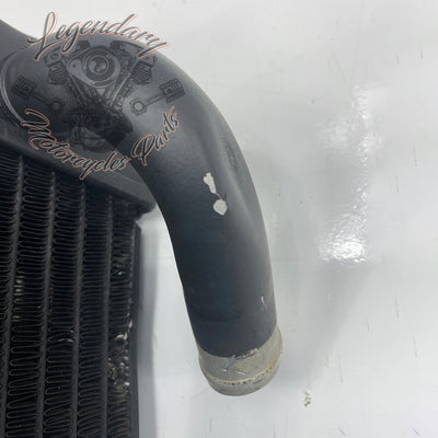 Left Radiator OEM Q0022.1AMA