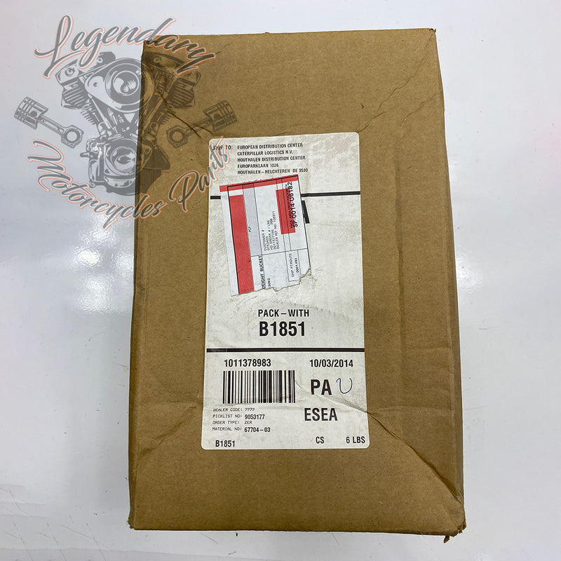 Kit di carenatura del faro OEM 67704-03