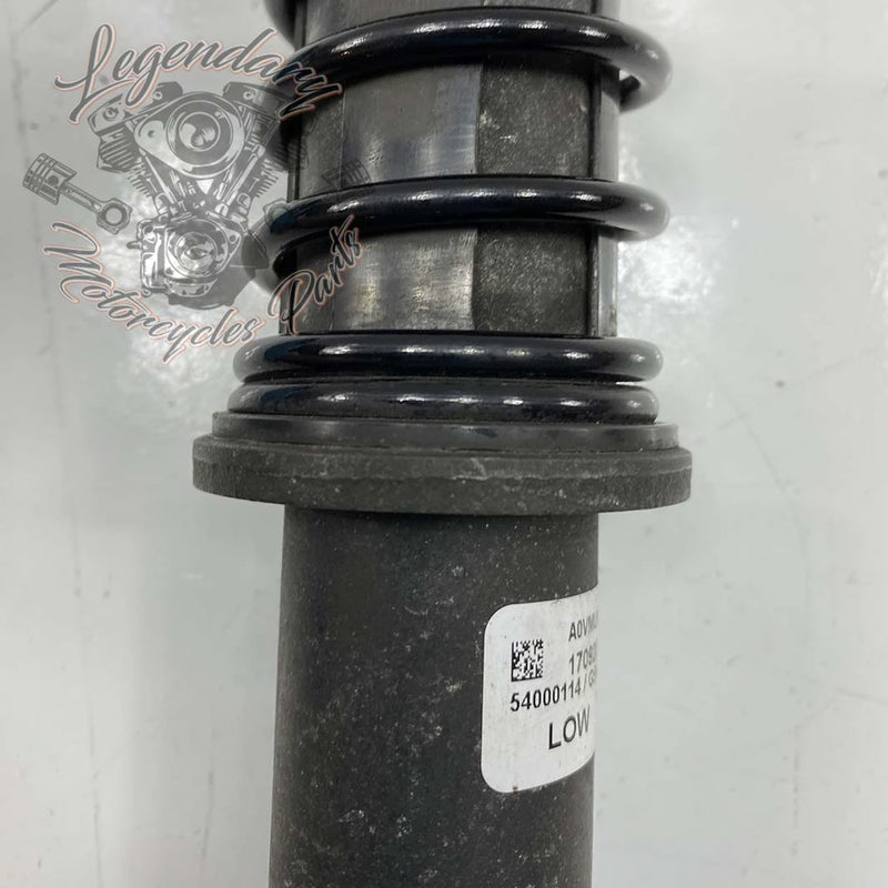 Shock Absorbers OEM 54000096