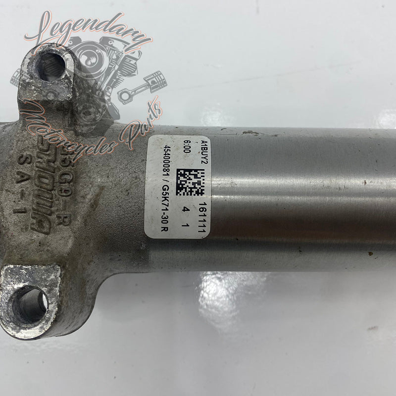 Forcella OEM 49410-11