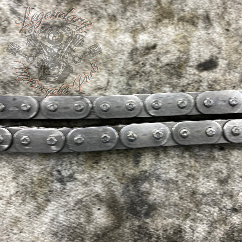 Primary Chain OEM 40037-79A