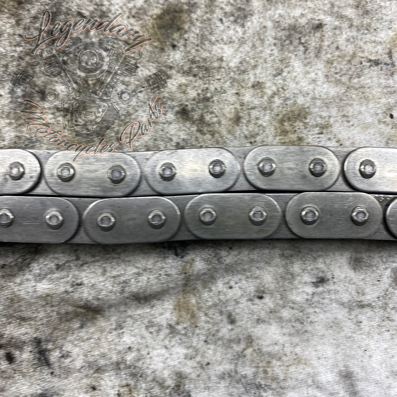 Primary Chain OEM 40037-79A