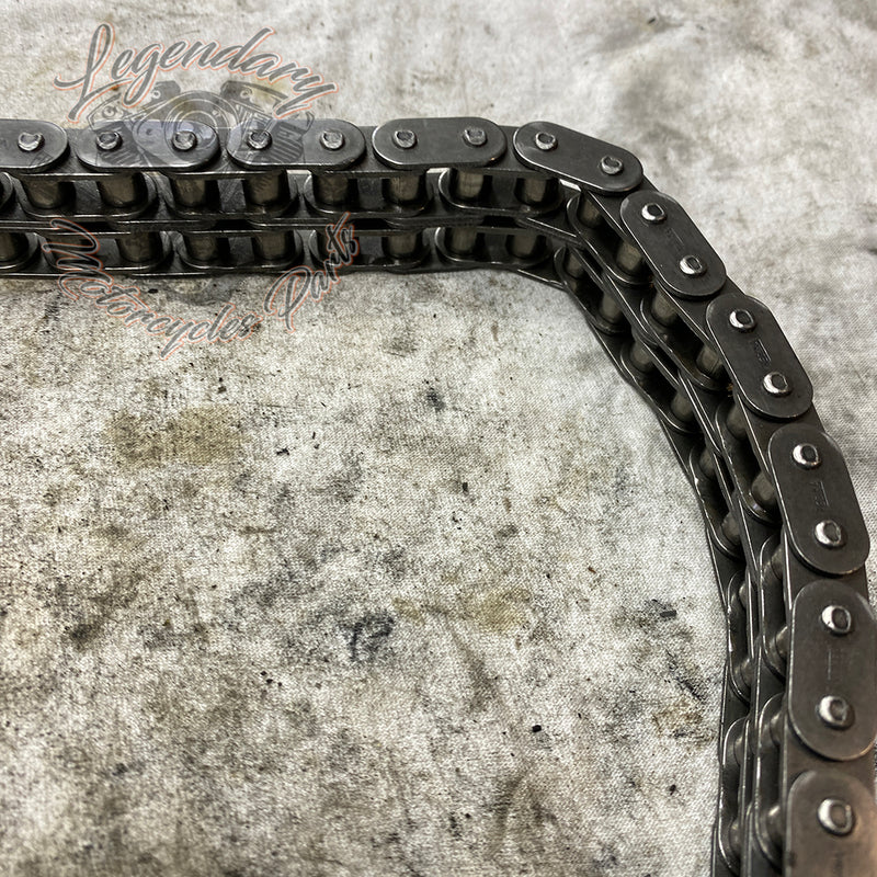 Primary Chain OEM 40037-79A