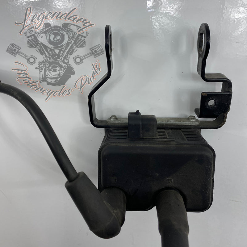 Bobine van de ontsteking OEM 31655-99