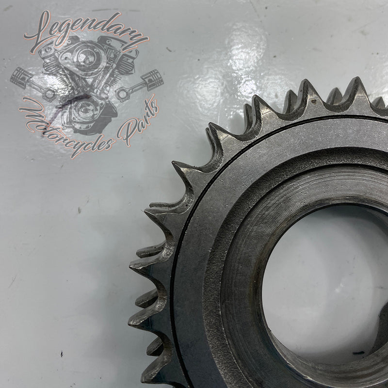 Compensator Sprocket Kit OEM 40308-94