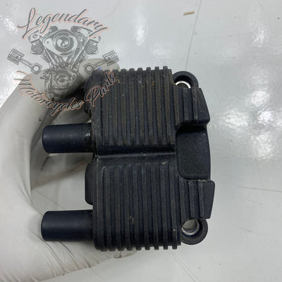 Double bobine d'allumage OEM 31655-99